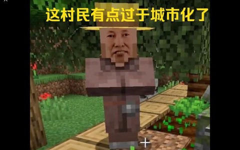 我的世界村民为什么总看着我[图2]
